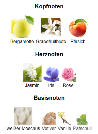 Maison Alhambra Chants Tenderina EDP 100ml, Unisex